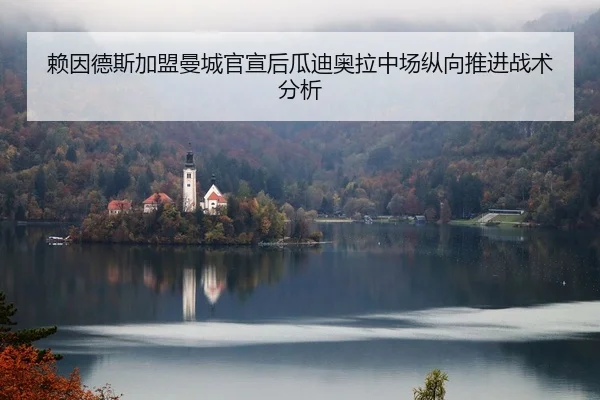 赖因德斯加盟曼城官宣后瓜迪奥拉中场纵向推进战术分析（Kaiyuan FIFA WorldCup）
