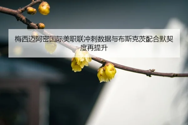 mei-xi-mai-a-mi-guo-ji-mei-zhi-lian-chong-ci-shu-ju-yu-bu-si-ke-ci-pei-he-mo-qi-du-zai-ti-sheng-3-111.jpg